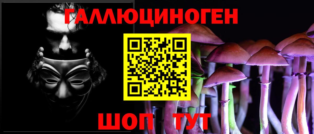 Качканар  цены наркотик  Вход с VPN  Псилоцибиновые грибы прущие грибы  Псилоцибиновые грибы GOLDEN TEACHER 