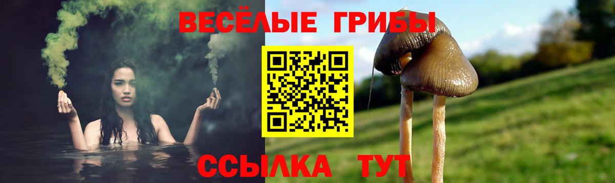Галлюциногенные грибы прущие грибы Качканар